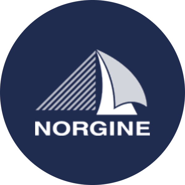 Logo Norgine